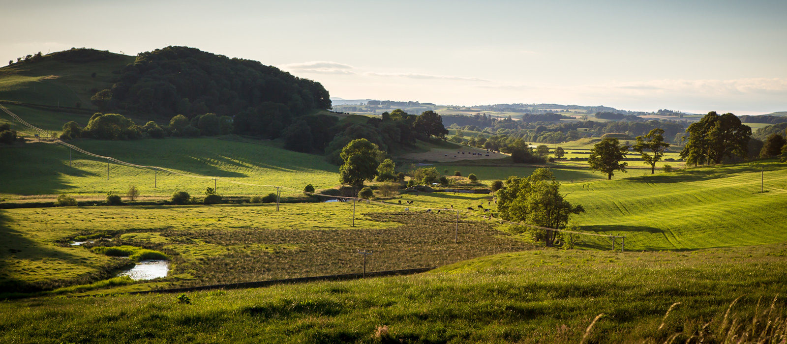 Threave Rural land and estate agents